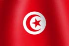 Tunisia National Flag Graphic
