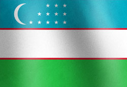 Uzbekistan National Flag Graphic
