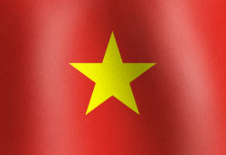 Vietnam National Flag Graphic